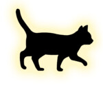 Escada 10209/SG LED*5W Black