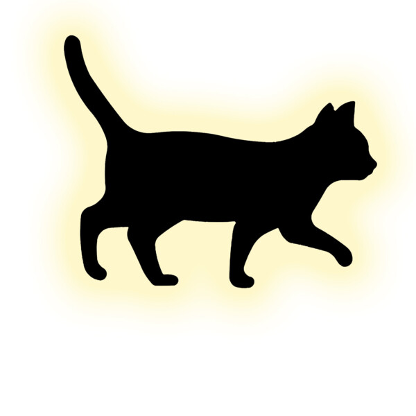 Escada 10209/SG LED*5W Black