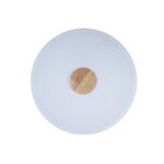 10003/24 White Потолочный светильник LOFT IT Axel — изображение 3