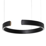 10025/400 Black Подвесной светильник LOFT IT Ring — изображение 3