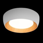 в наличии 10255/500 White Потолочный светильник LOFT IT Folk - купить в интернет-магазине Светильники Торг