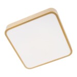 10228/C Потолочный светильник LOFT IT Flims — изображение 7