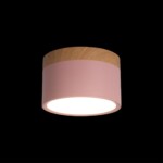 в наличии 10162 Pink Накладной светильник LOFT IT Grape - купить в интернет-магазине Светильники Торг