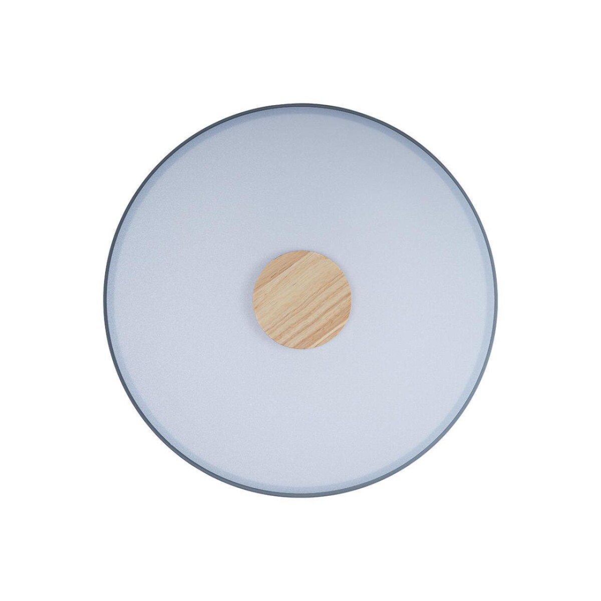 в наличии 10003/24 Grey Потолочный светильник LOFT IT Axel - купить в интернет-магазине Светильники Торг