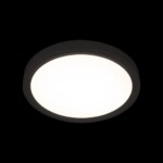 10227/24 Black Потолочный светильник LOFT IT Extraslim — изображение 2