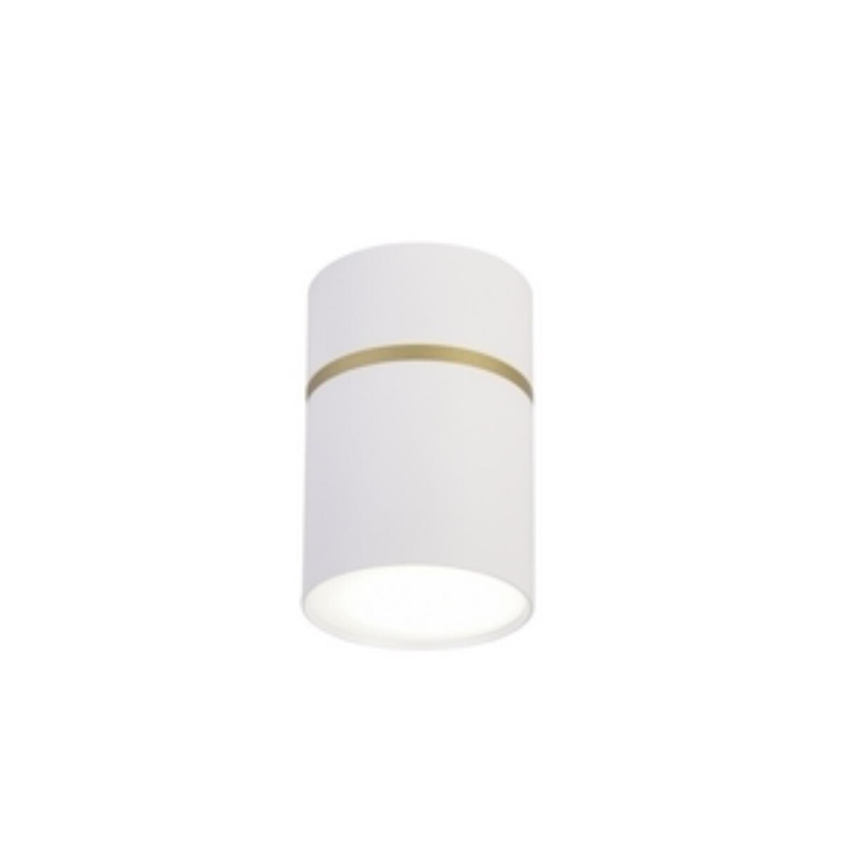 3067-1C, потолочный светильник, D68xH100, 1xGU10LEDx10W, IP20, excluded — изображение 1