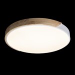 в наличии 10004/36 White Потолочный светильник LOFT IT Axel - купить в интернет-магазине Светильники Торг