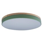 в наличии 10001/36 Green Потолочный светильник LOFT IT Axel - купить в интернет-магазине Светильники Торг