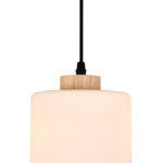 160002/A/1P E27*60W Black — изображение 3