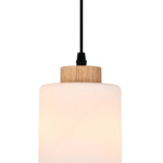 160002/B/1P E27*60W Black — изображение 3