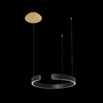 10025/400 Black Подвесной светильник LOFT IT Ring — изображение 2