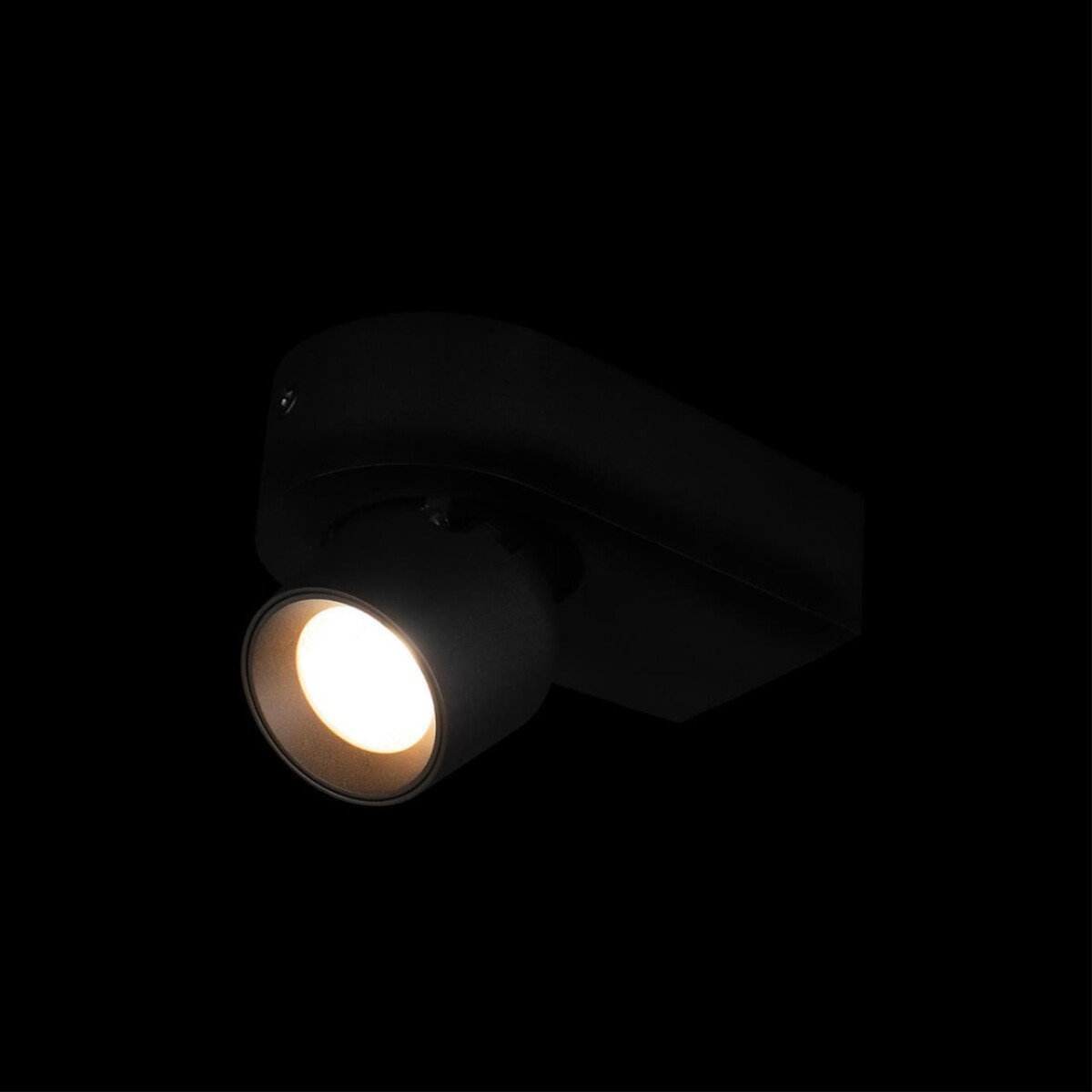 в наличии 10320 Black Накладной светильник LOFT IT Quiet - купить в интернет-магазине Светильники Торг