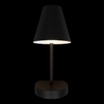 10216/1W Black Настенный светильник LOFT IT Shelf — изображение 4