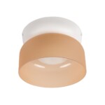 10466 Amber matte Потолочный светильник LOFT IT Totem