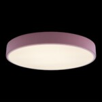 в наличии 10002/24 Pink Потолочный светильник LOFT IT Axel - купить в интернет-магазине Светильники Торг
