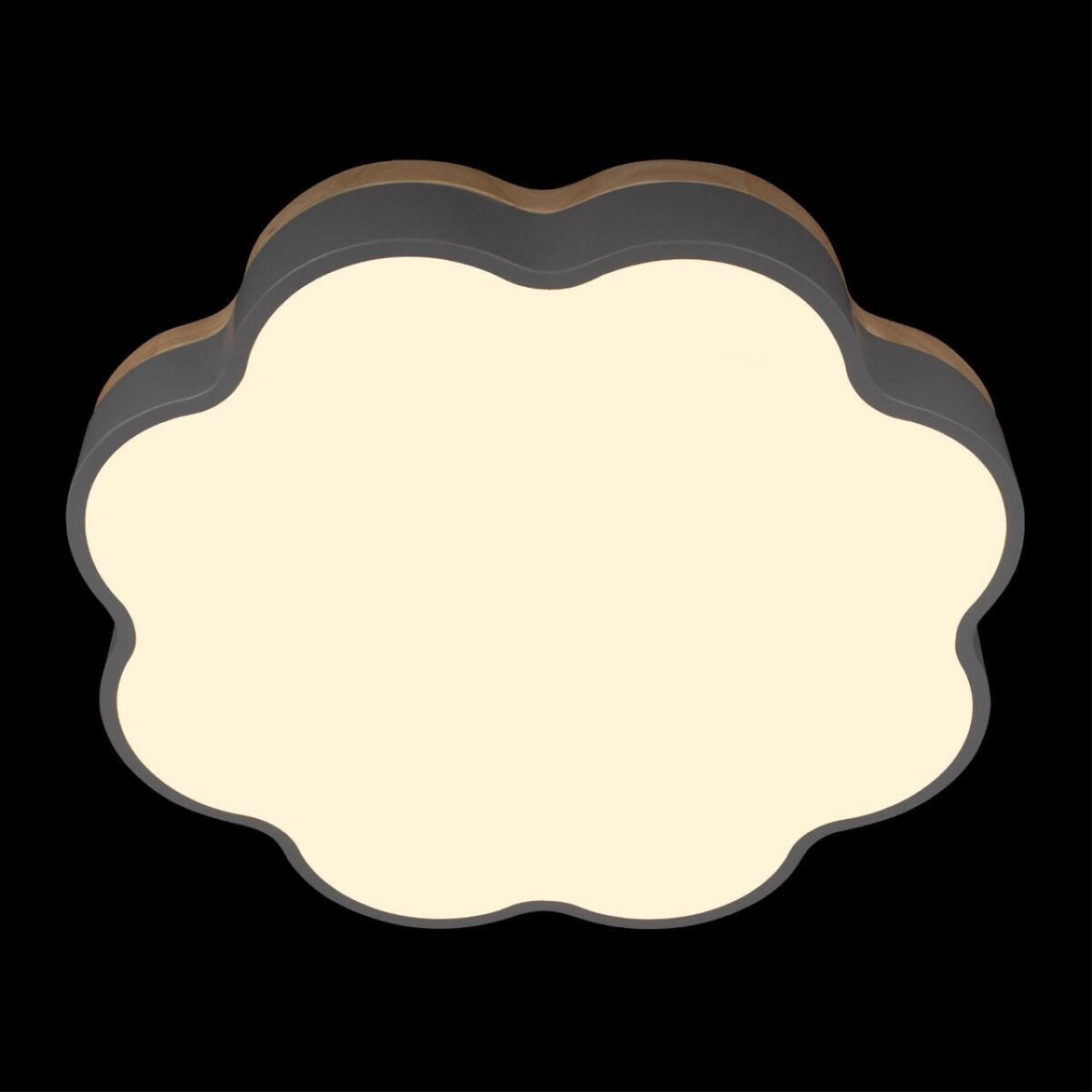 в наличии 10225/36 Grey Потолочный светильник LOFT IT Axel - купить в интернет-магазине Светильники Торг