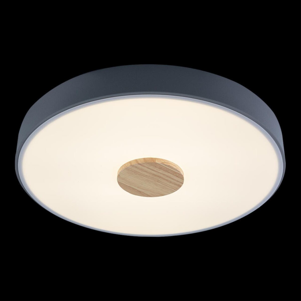 в наличии 10003/24 Grey Потолочный светильник LOFT IT Axel - купить в интернет-магазине Светильники Торг