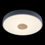 в наличии 10003/24 Grey Потолочный светильник LOFT IT Axel - купить в интернет-магазине Светильники Торг