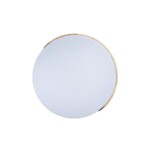 в наличии 10004/36 White Потолочный светильник LOFT IT Axel - купить в интернет-магазине Светильники Торг