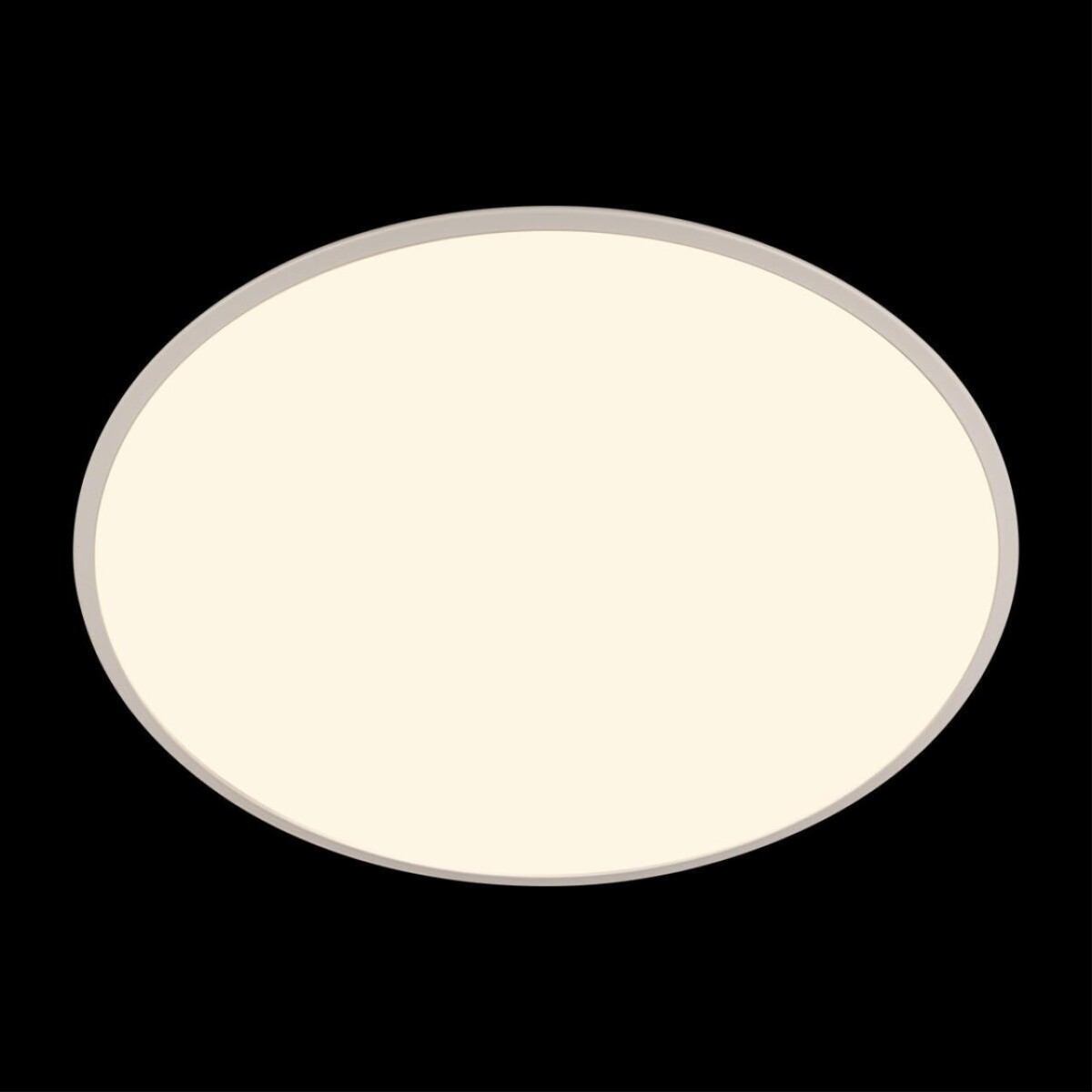 10226 White Потолочный светильник LOFT IT Brim — изображение 6