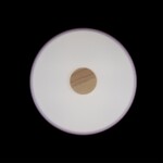 10003/24 Pink Потолочный светильник LOFT IT Axel — изображение 4