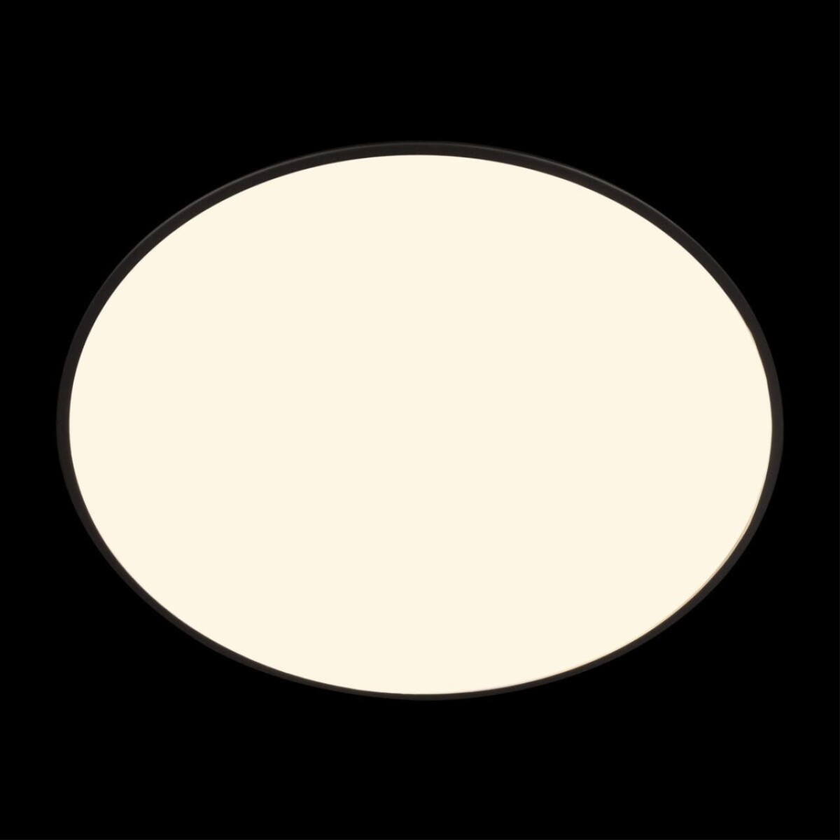 10226 Black Потолочный светильник LOFT IT Brim — изображение 6