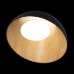 в наличии 10197/500 Black Потолочный светильник LOFT IT Egg - купить в интернет-магазине Светильники Торг