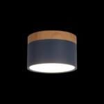 10162 Blue Накладной светильник LOFT IT Grape — изображение 2