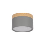 в наличии 10162 Grey Накладной светильник LOFT IT Grape - купить в интернет-магазине Светильники Торг