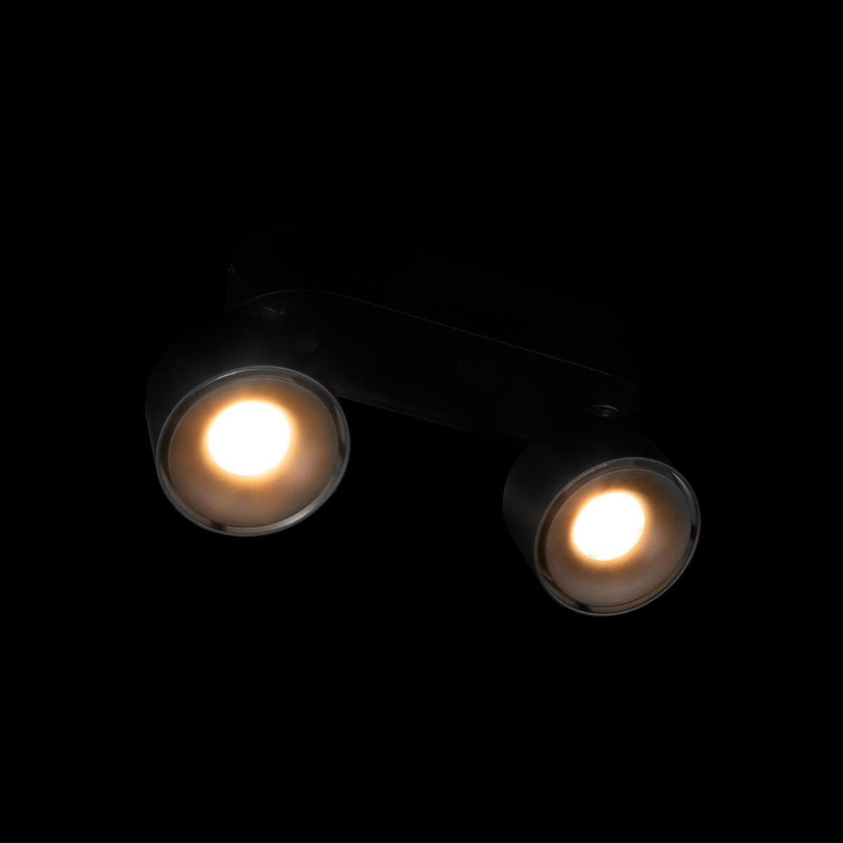 в наличии 10323/2A Black Накладной светильник LOFT IT Focus - купить в интернет-магазине Светильники Торг