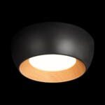 в наличии 10255/350 Black Потолочный светильник LOFT IT Folk - купить в интернет-магазине Светильники Торг