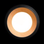 в наличии 10255/350 Black Потолочный светильник LOFT IT Folk - купить в интернет-магазине Светильники Торг