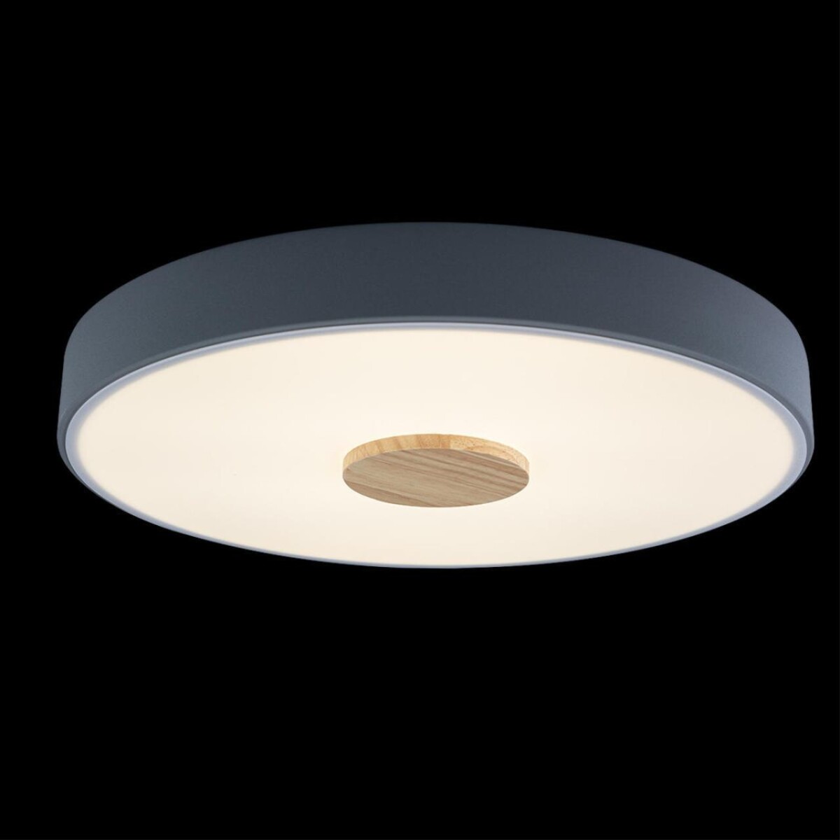 в наличии 10003/24 Grey Потолочный светильник LOFT IT Axel - купить в интернет-магазине Светильники Торг