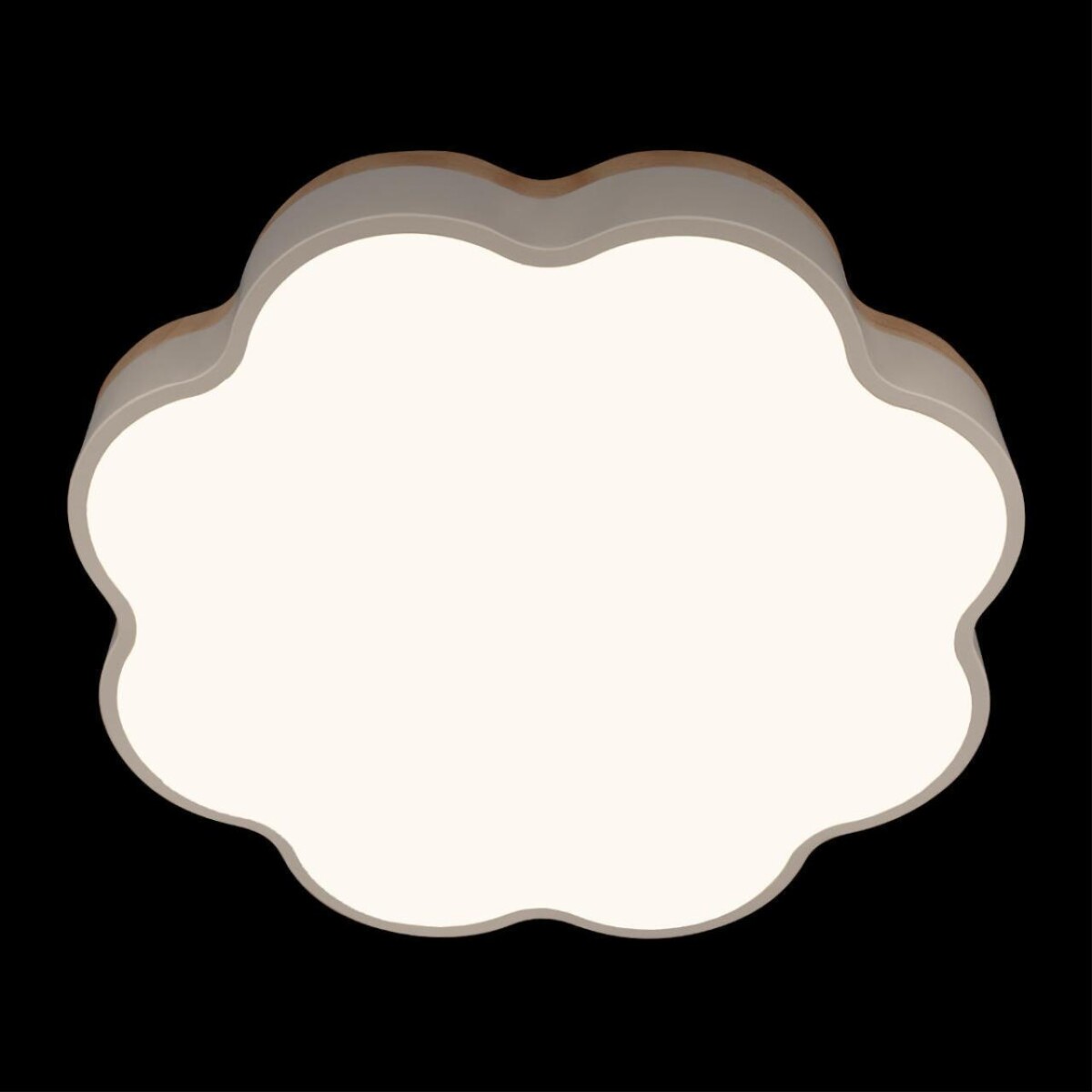 10225/36 White Потолочный светильник LOFT IT Axel — изображение 6