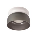 10466 Smoke matte Потолочный светильник LOFT IT Totem