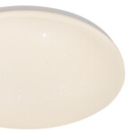 Escada 10216/SG LED*40W White APP — изображение 4