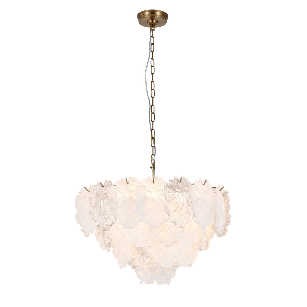 12059/9P Brass — изображение 1