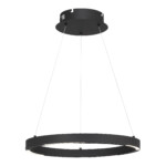 SL6238.423.01 Светильник подвесной ST-Luce черный/черный LED 1*25W 4000K PARILLA