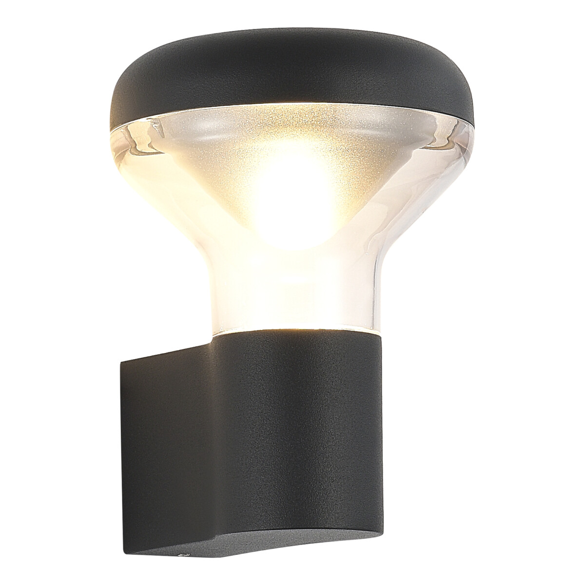 SL9541.701.01_01W SL9541.701.01 Светильник уличный настенный ST-Luce темно-серый LED 1*6W 3000K DROP — изображение 1