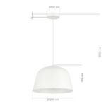 SLE1805-503-01 Светильник подвесной Белый/Белый E27 1*40W BLANK — изображение 4