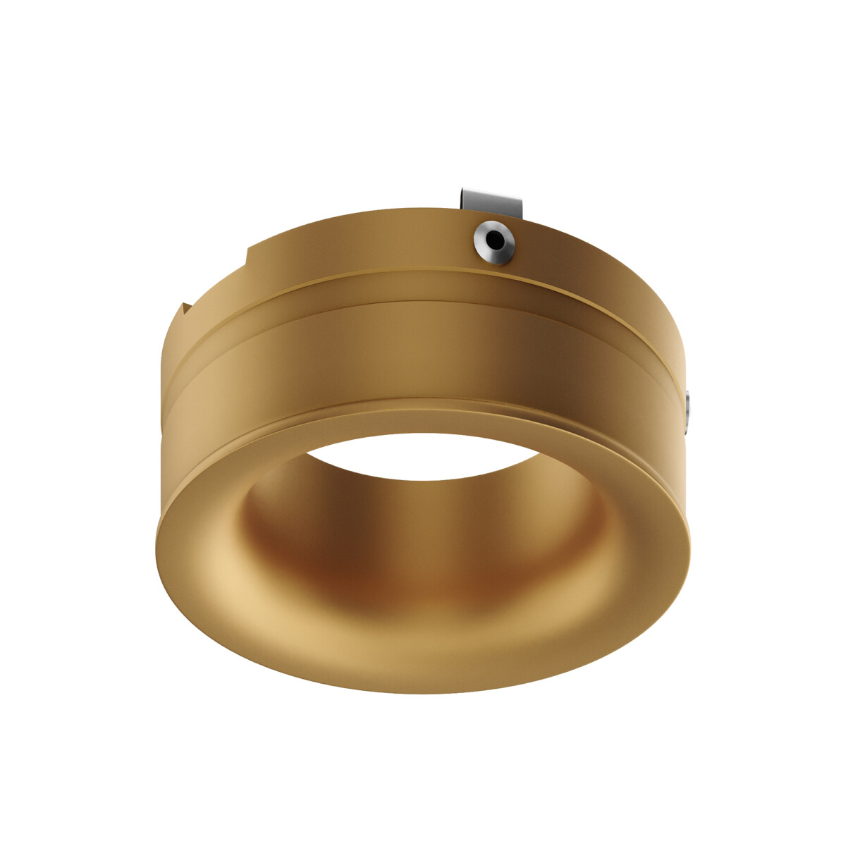 ST218.209.00_01W ST218.209.00 Кольцо декоративное ST-Luce Золотистый Встраиваемые светильники — изображение 1