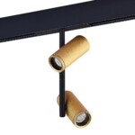 ST808.236.16 Магнитный трековый светильник Золотистый LED 1*16W 3000K 1 100Lm Ra>90 36° IP20 D45xH24 SKYLINE 48 — изображение 2