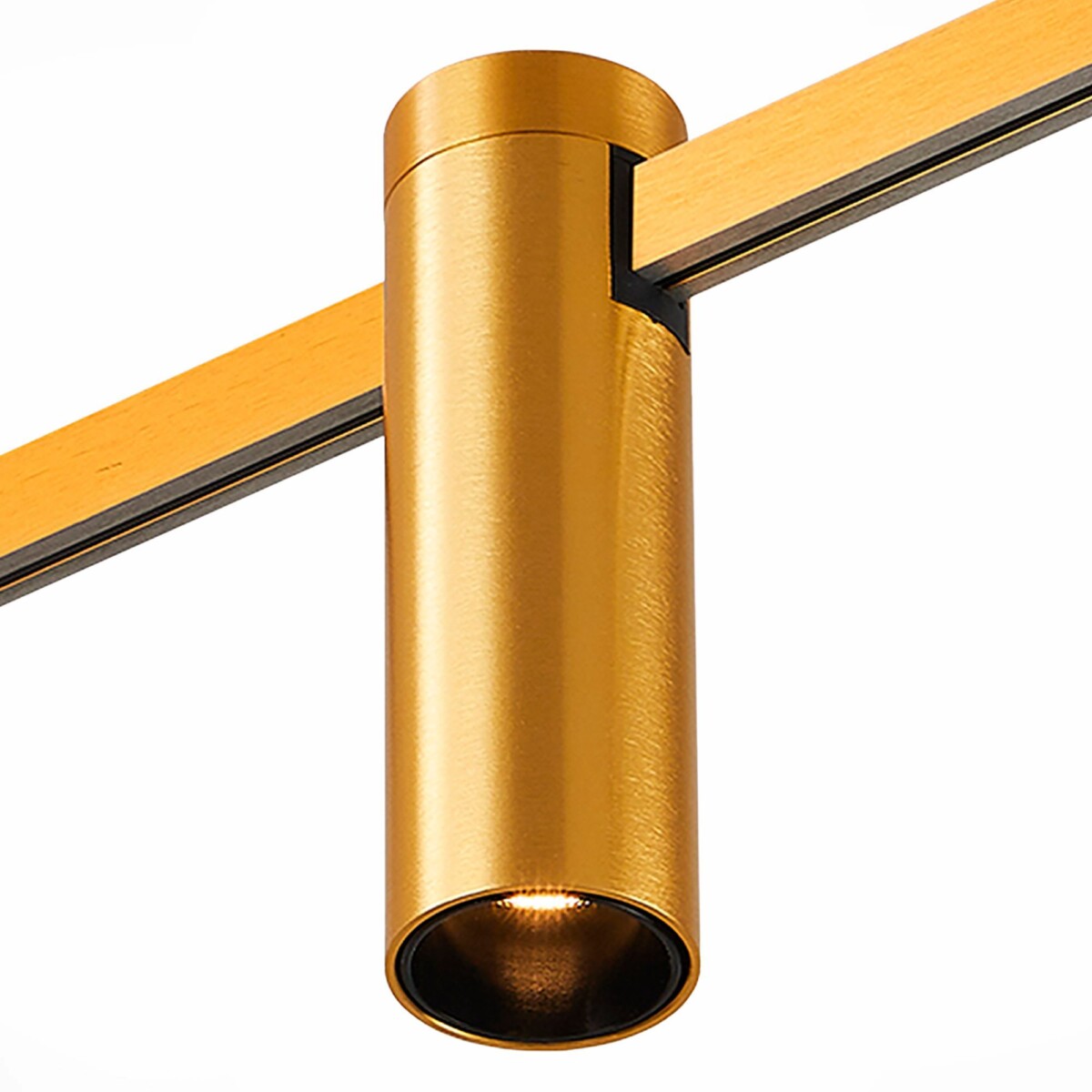 ST810.246.05 Магнитный трековый светильник FARM Золотистый LED 1*5W 4000K 230Lm Ra90 60 IP20 D35xH1 FARM — изображение 1