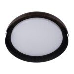 10198 Black Потолочный светильник LOFT IT Coin — изображение 5