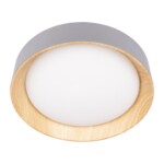 в наличии 10202 Grey Потолочный светильник LOFT IT Coin - купить в интернет-магазине Светильники Торг