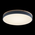 в наличии 10001/36 Grey Потолочный светильник LOFT IT Axel - купить в интернет-магазине Светильники Торг