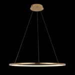 в наличии 10014L Подвесной светильник LOFT IT Ring - купить в интернет-магазине Светильники Торг