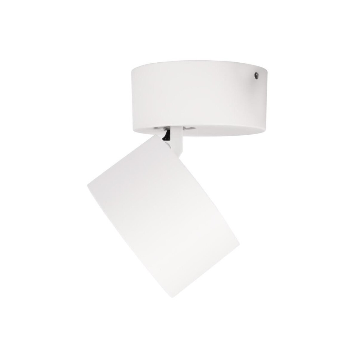 в наличии 10323/A White Накладной светильник LOFT IT Focus - купить в интернет-магазине Светильники Торг