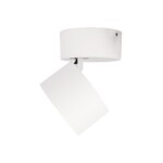 в наличии 10323/A White Накладной светильник LOFT IT Focus - купить в интернет-магазине Светильники Торг