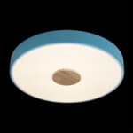 в наличии 10003/24 Blue Потолочный светильник LOFT IT Axel - купить в интернет-магазине Светильники Торг